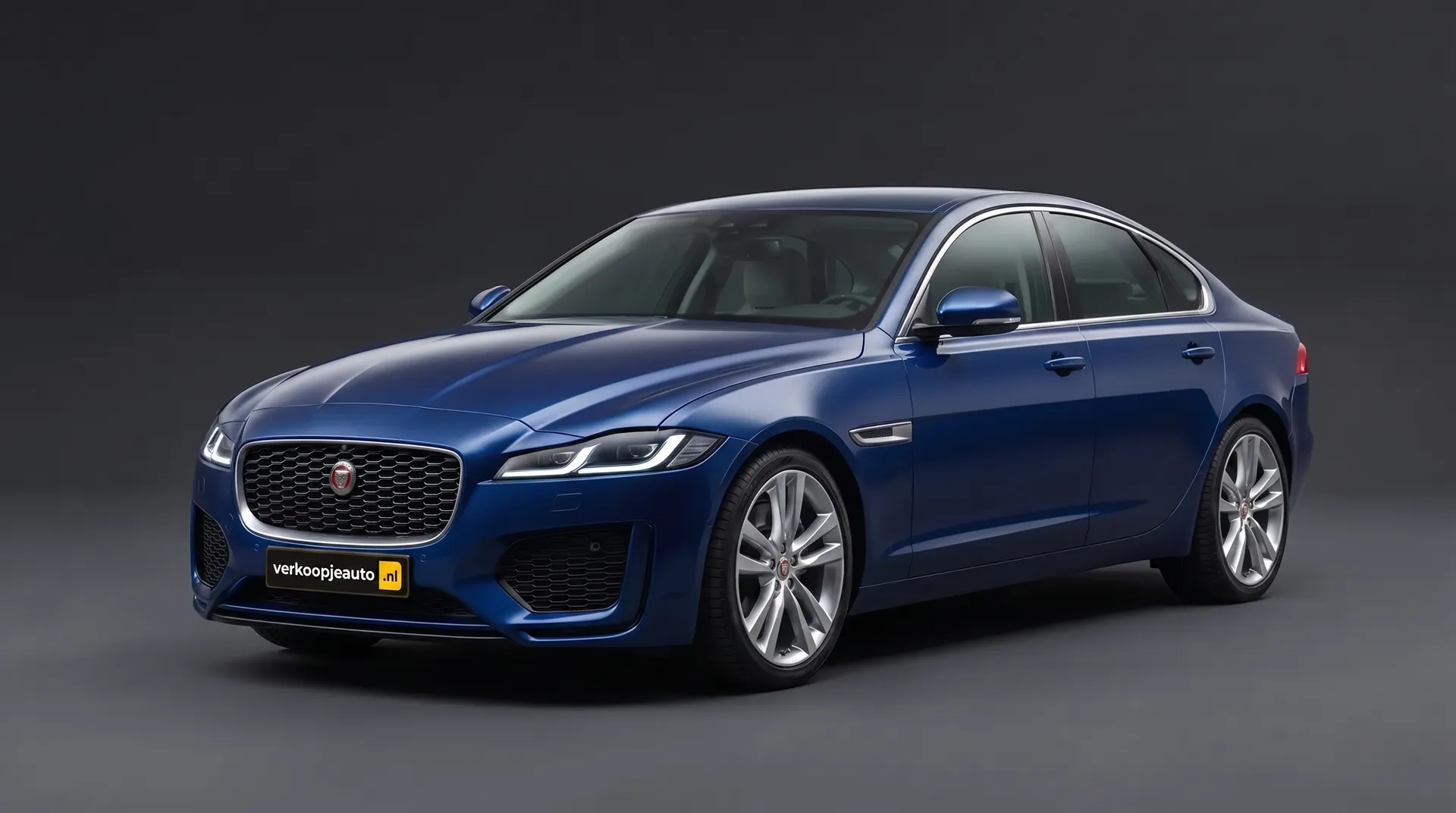 Jaguar in de studio